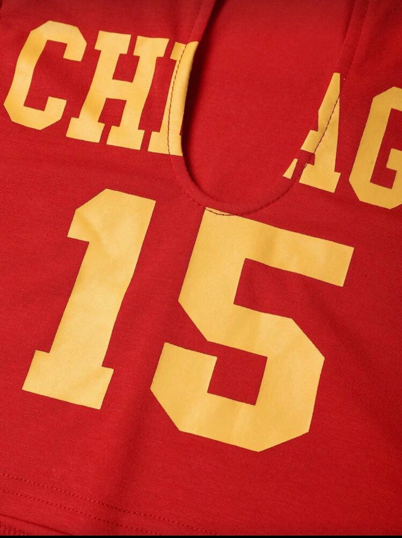 The CHi -Crop Top