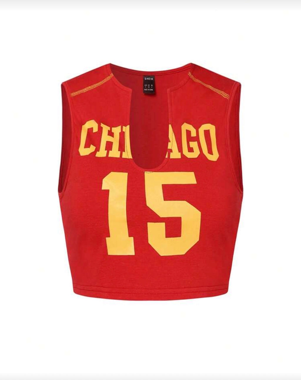The CHi -Crop Top